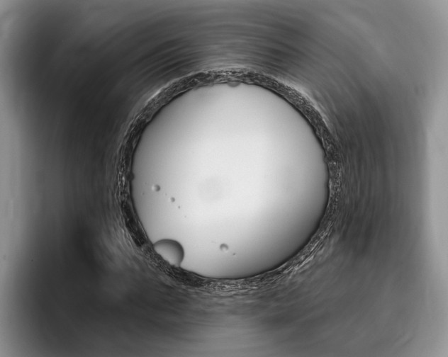 X0000096170871200801180828