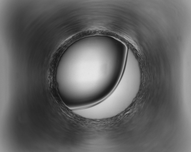 X0000096170872200801180828