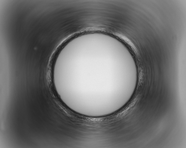 X0000096170878200801180828