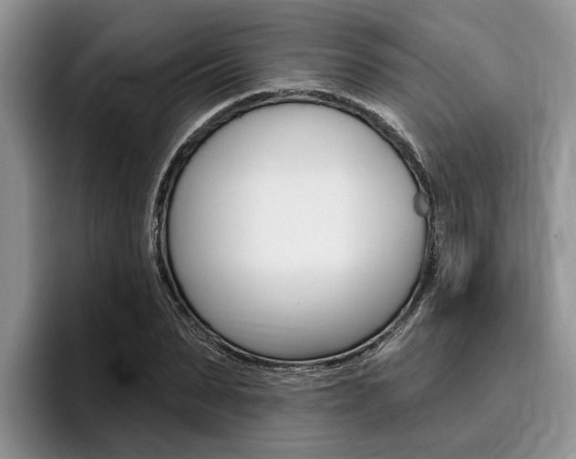 X0000096170879200801180828