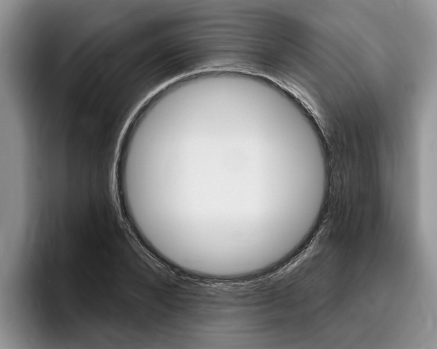 X0000096170880200801180828