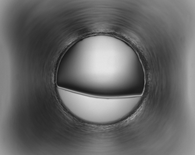 X0000096170881200801180828