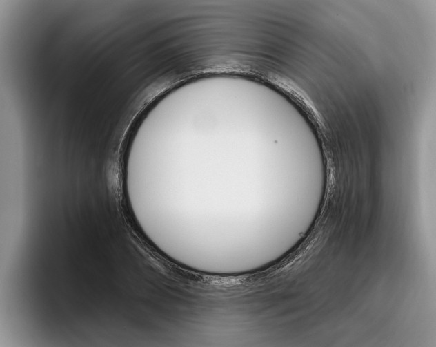 X0000096170882200801180828