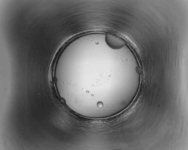 X0000096170883200801180828