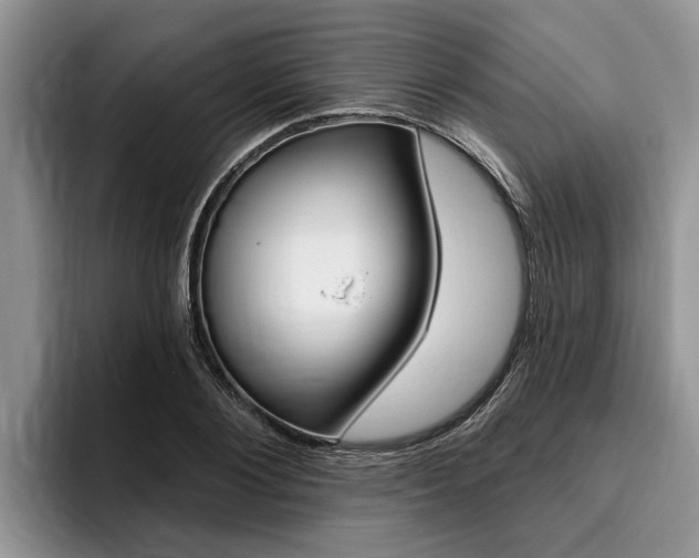 X0000096170884200801180828
