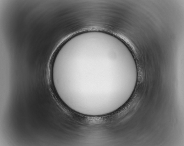 X0000096170886200801180828