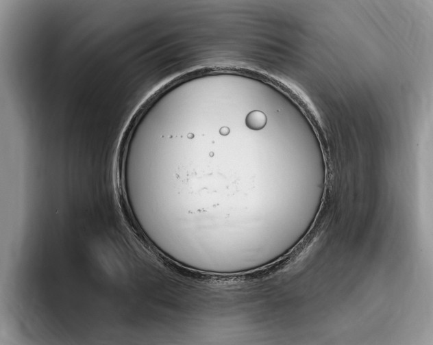 X0000096170887200801180828