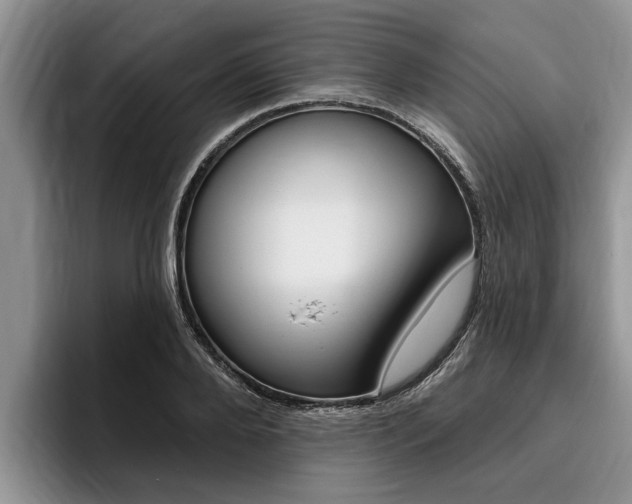X0000096170888200801180828