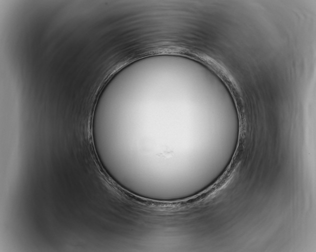 X0000096170889200801180828