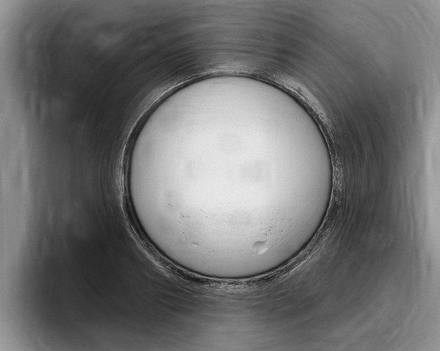 X0000096170890200801180828