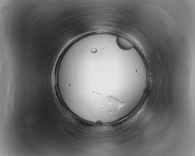 X0000096170891200801180828