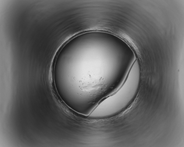 X0000096170892200801180828