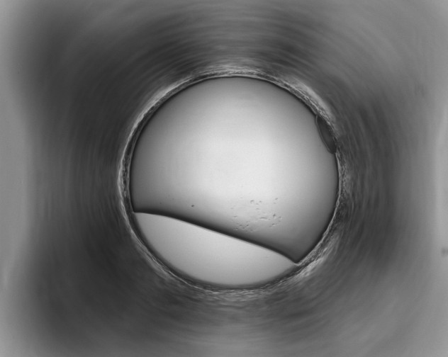 X0000096170893200801180828