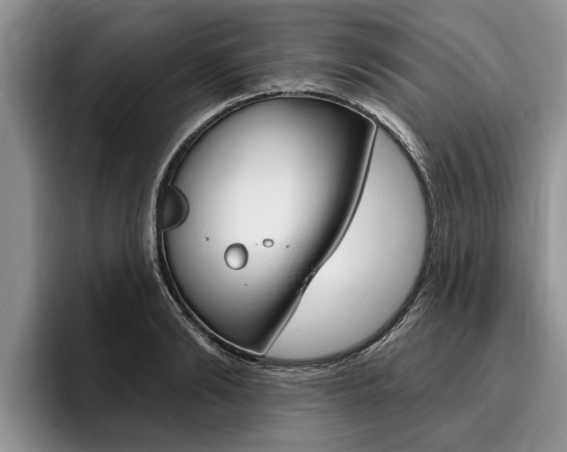 X0000096170894200801180828