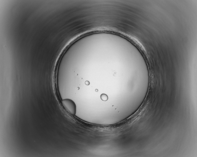 X0000096170895200801180828