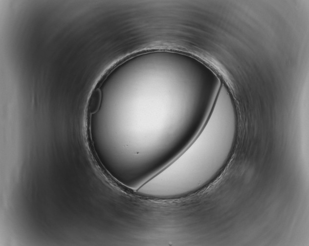 X0000096170896200801180828