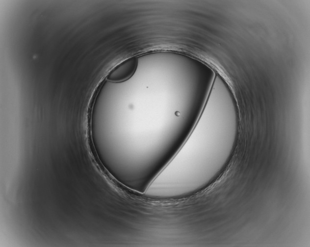 X0000096170898200801180828