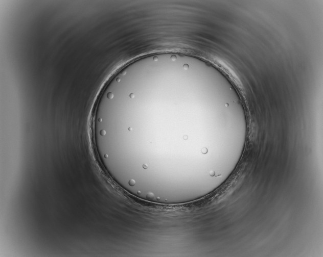 X0000096170899200801180828