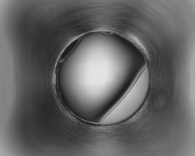 X0000096170900200801180828