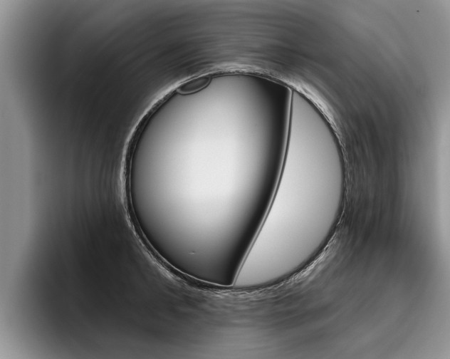 X0000096170902200801180828