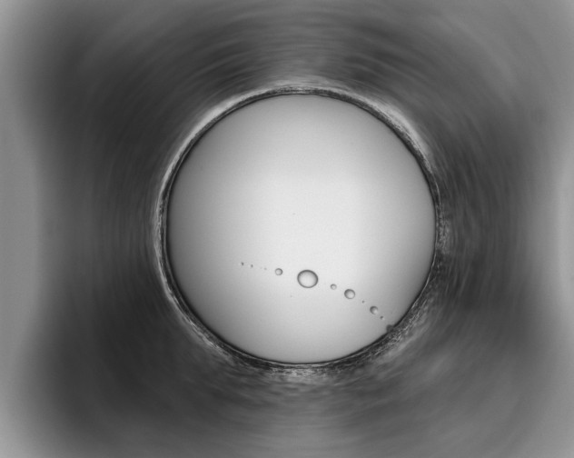 X0000096170903200801180828
