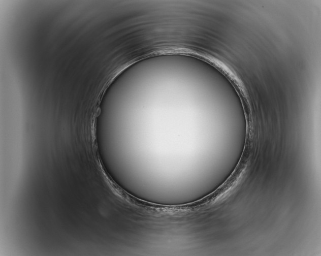 X0000096170905200801180828