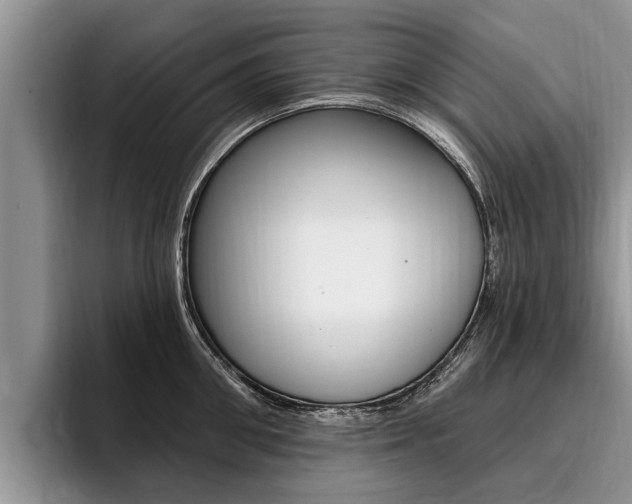 X0000096170906200801180828