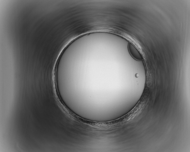 X0000096170907200801180827