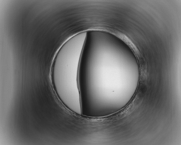 X0000096170908200801180827