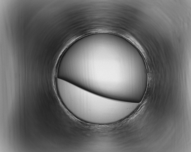 X0000096170909200801180827