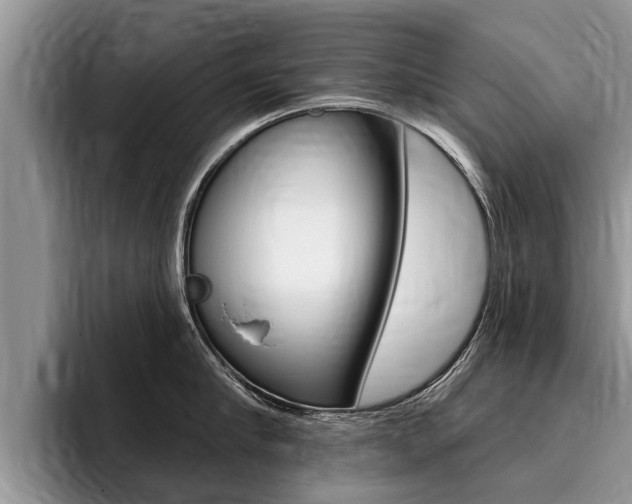X0000096170910200801180827
