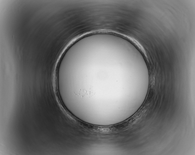 X0000096170911200801180827