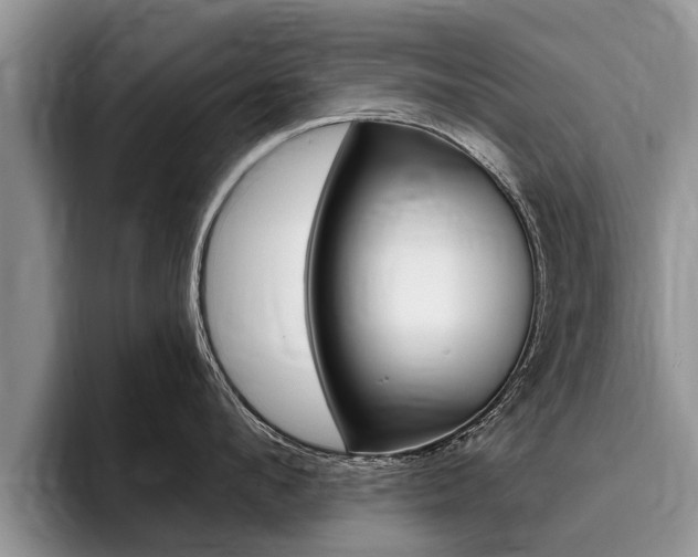 X0000096170912200801180827