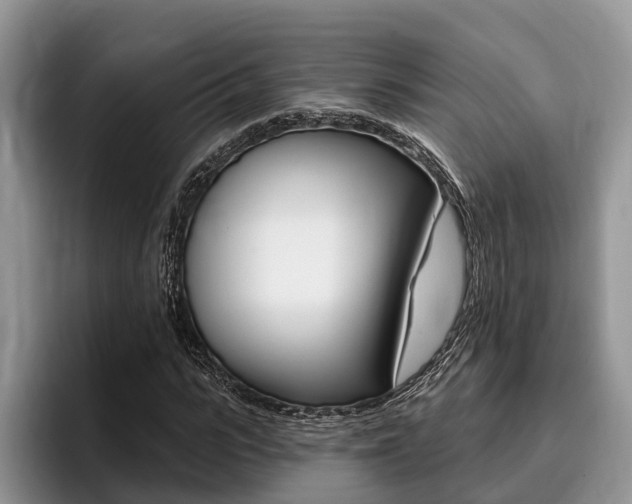 X0000096170919200801180827