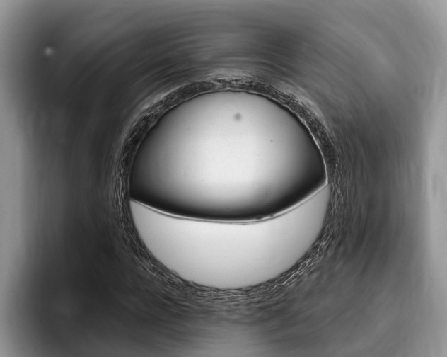 X0000096170920200801180827