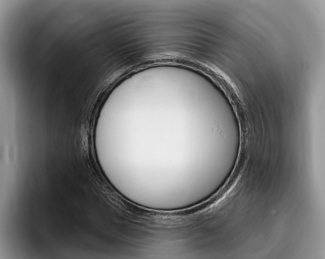 X0000096170921200801180827