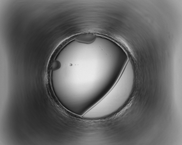 X0000096170924200801180827