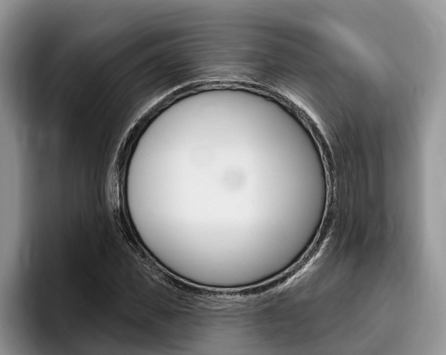 X0000096170925200801180827
