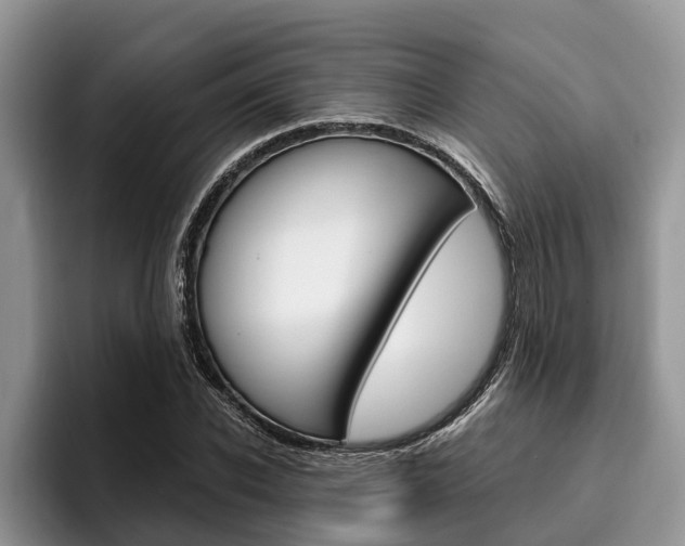 X0000096170926200801180827