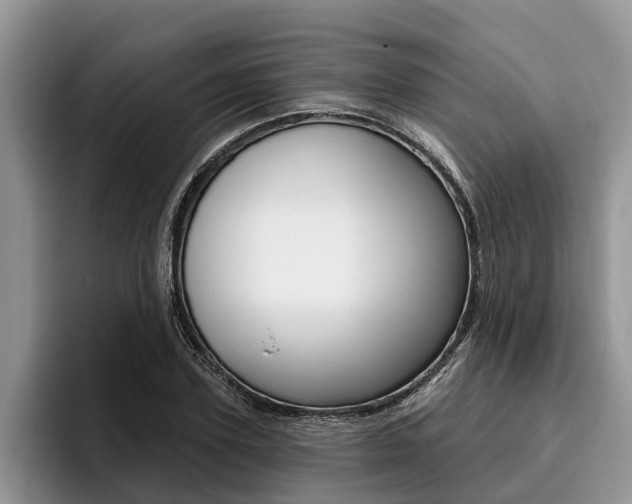 X0000096170931200801180827