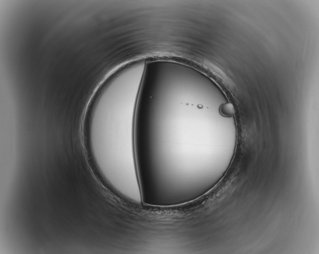 X0000096170934200801180827