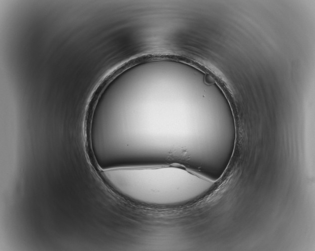 X0000096170935200801180827