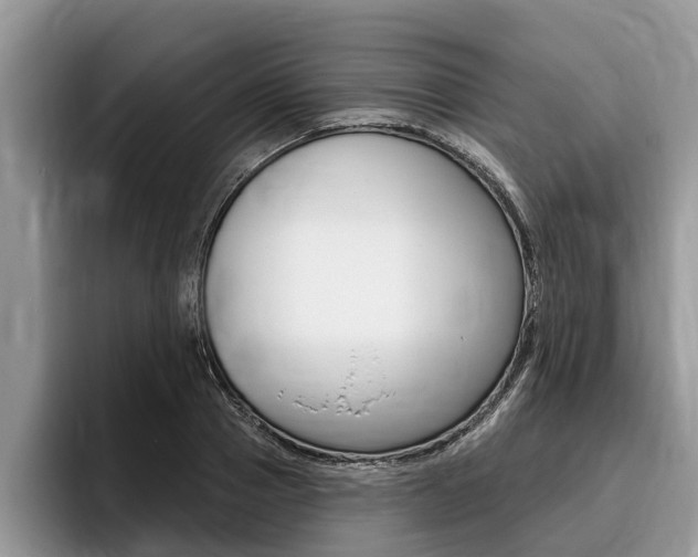 X0000096170937200801180827