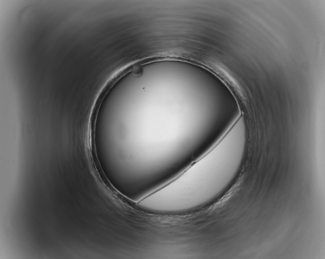 X0000096170940200801180827