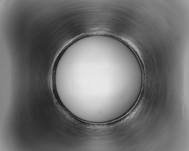 X0000096170941200801180827