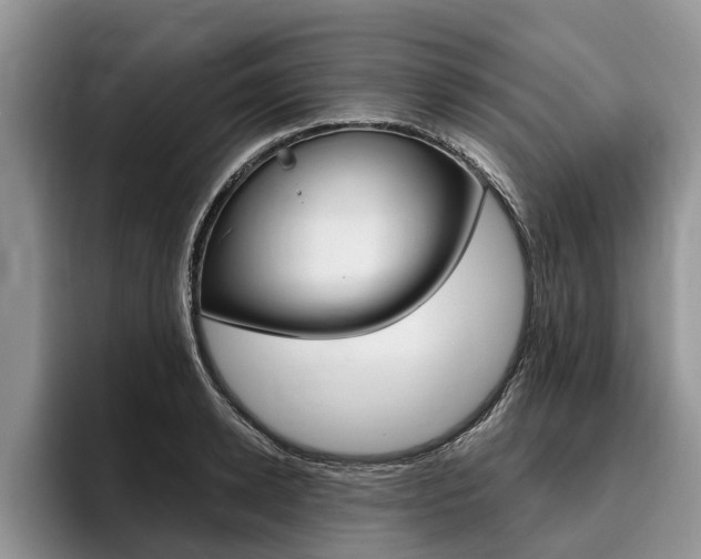 X0000096170942200801180827