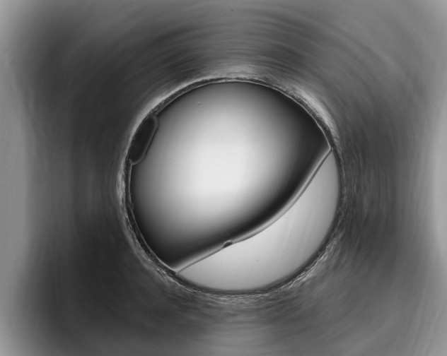 X0000096170944200801180827