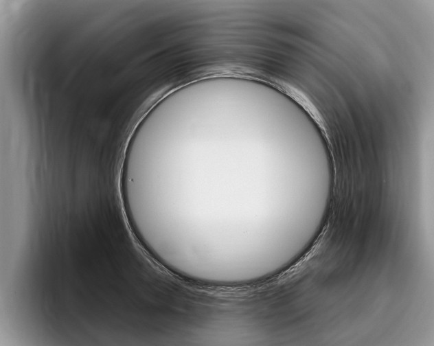 X0000096170946200801180827