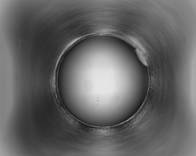 X0000096170948200801180827