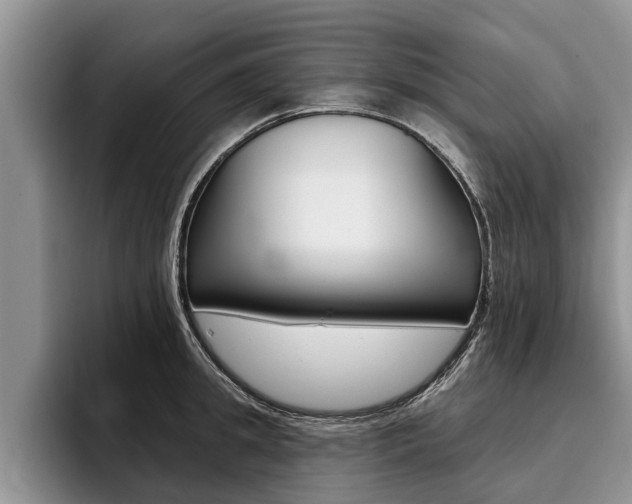 X0000096170949200801180827